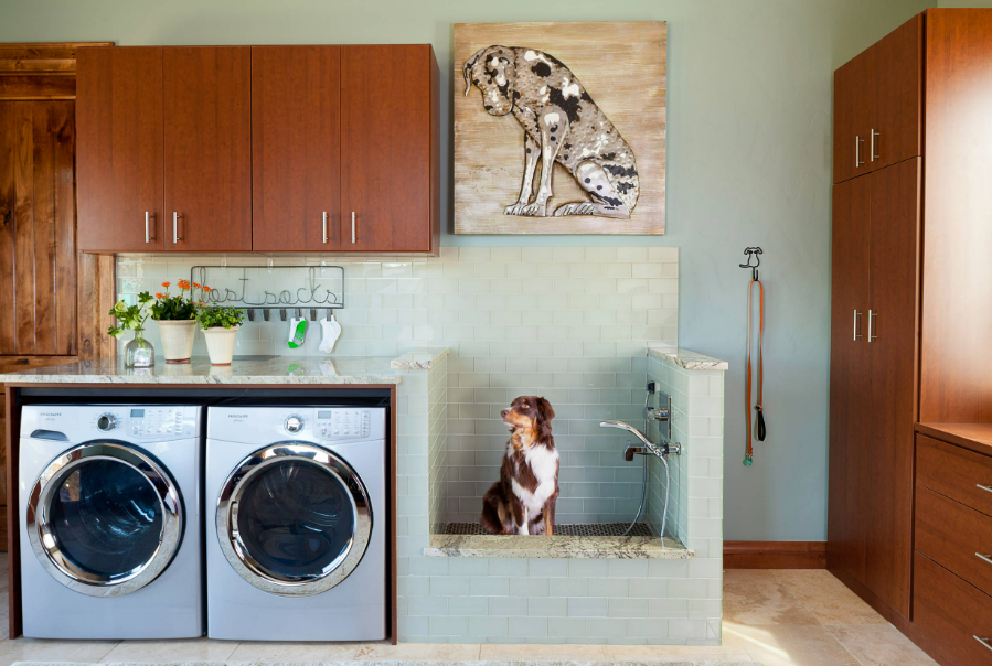 Comment créer une wash-station pour chien dans votre maison : Guide pratique